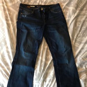 Karen Baby Bootcut exclusive - Petite Size 12